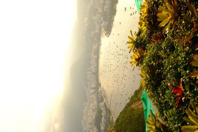 Botafogo Bay above the summit garden from Max Nicholson's archive