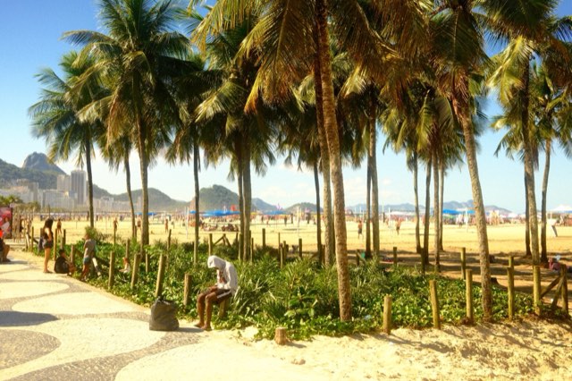 Copacabana promenade and palms from Max Nicholson's archive