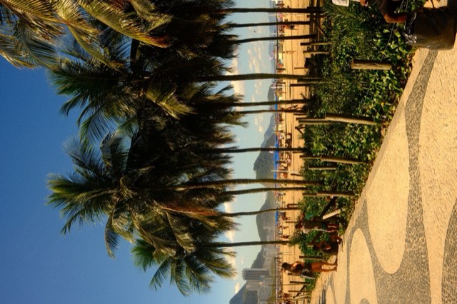 Palm-lined Copacabana promenade from Max Nicholson's archive