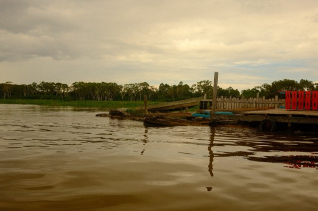 Rainforest river dock from Max Nicholson's archive