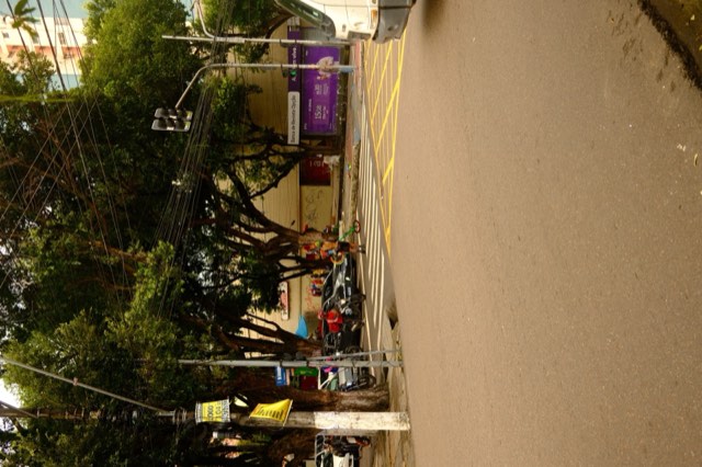 Street performer at the crossing from Max Nicholson's archive