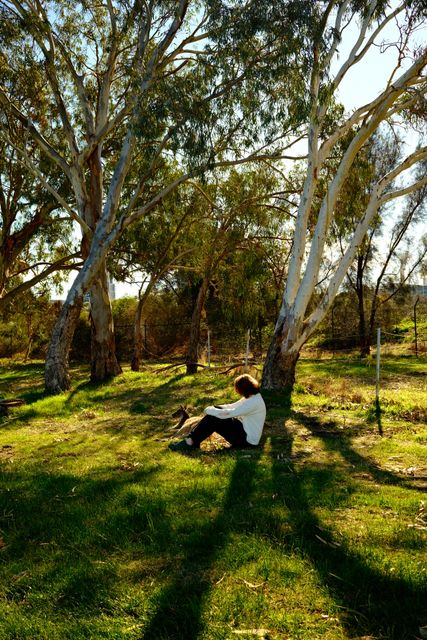 Sitting beneath the gum trees from Max Nicholson's archive