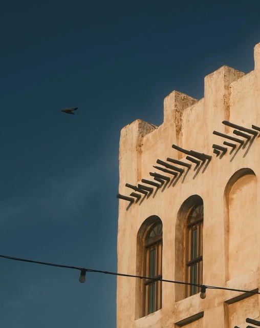 A bird above a sunlit wind tower from Max Nicholson's archive