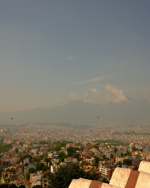 Birds above Kathmandu Valley from Max Nicholson's archive
