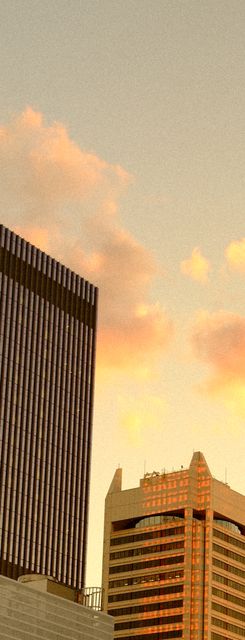 Towers at sunset from Max Nicholson's archive